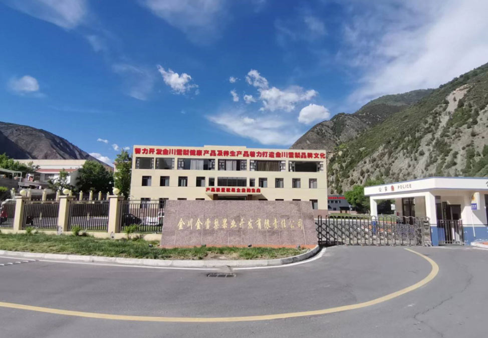 關于我們